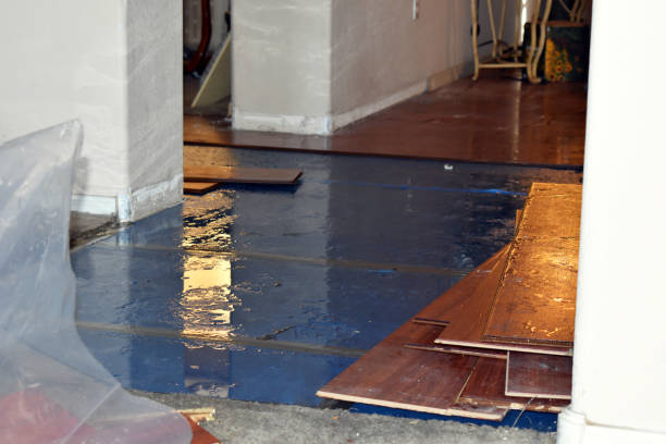 Professional Burst Pipe Cleanup technician working in Thompson, OH